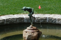 Koi pond with fountain