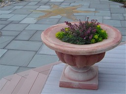 Italian terracotta with succulents