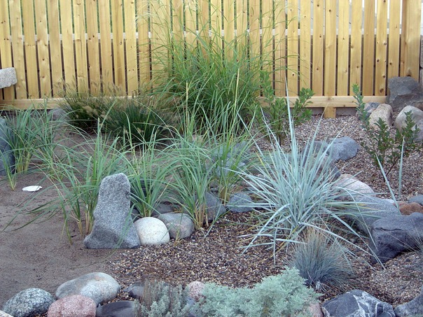 Xeriscaping