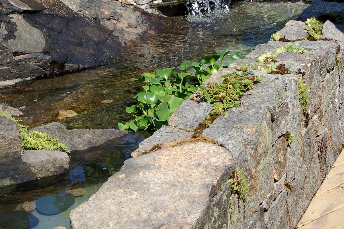 Small pond on ledge