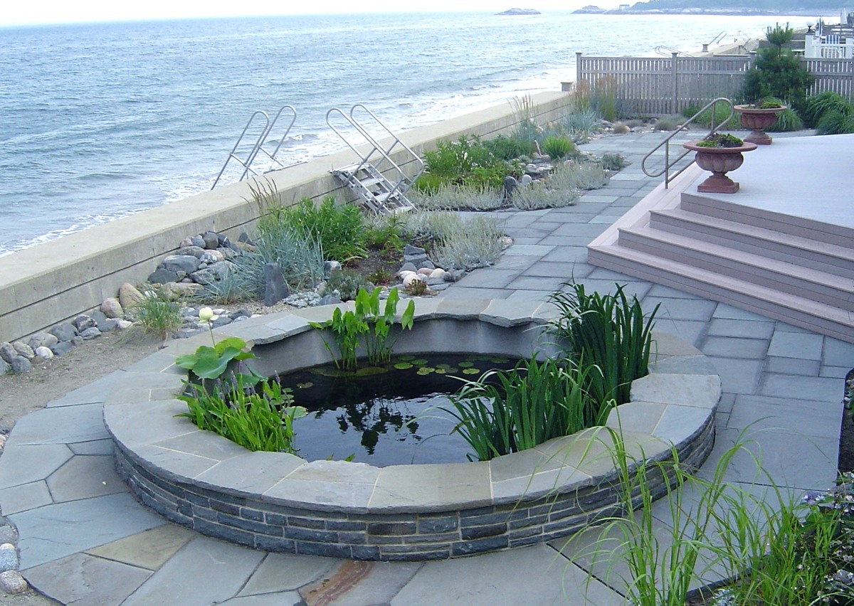 Koi pond